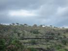 Makakilo - Homes on the ridge