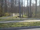 Charleston Village Greenway