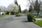 Ar117313885971001_l