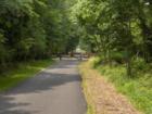 Bicyle PAth at Allaire State Park in Wall