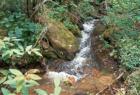 CASCADE ON MOUNTAINSIDE , Outside Saluda, N.C.