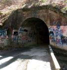 OLD TUNNEL NEAR SALUDA, Saluda, N.C.