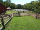 EQUESTRIAN DELIGHT. North Asheville