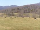 Pastural Farmland settings still exist here. Attempts to Preserve are under way. 