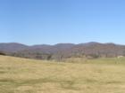 More farmland - Many of these organic crops are sold locally at Trout Liliy 