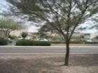 Sears at Chandler Mall