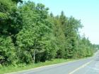 This is the typical scenery in Drew Plantation.  Nothing but woods..a few hunting camps...unorganized township where you send you taxes to state of Maine directly!  No town office!