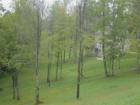 Beautiful backyard in North Woods, Eleanor, WV.