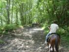 Horseriding trail at Ace Adventure Center in Oak Hill, WV.