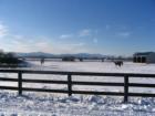 House Farm in Livingston , Columbia County