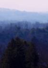 GROVE PARK. Asheville, N.C. From the mountainside, distant mountain and forest views from this 1920s era historic neighborhood.