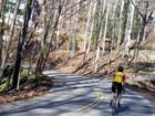 GROVE PARK. Asheville, N.C. Biking is an exciting experience on the neighbohood streets. Views and slopes.