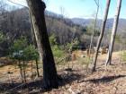 GROVE PARK. Asheville, N.C. Controversial ridge top construction.