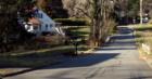 GROVE PARK. Asheville, N.C. Sustainable Neighborhood. Typical street.