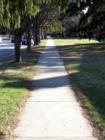 GROVE PARK. Asheville, N.C. Sustainable Neighborhood. Notice the shaded sidewalk.