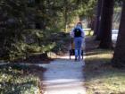 GROVE PARK. Asheville, N.C. Sustainable Neighborhood. Out for a stroll on tree-lined sidewalk.