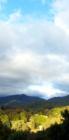 BEAVERDAM VALLEY. Asheville, N.C. Spring comes to the valley. Glorious.