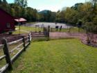 BEAVERDAM NEIGHBORHOOD. Asheville, N.C. Home for the "Gentleperson Farmer" Equestrian scene within 7 minutes of downtown.