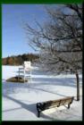 Deer Lake  "No Swimming Today"