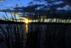 Deer Lake - Sunset