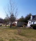 OAKLEY NEIGHBORHOOD. Asheville, N.C.
      Mixed in with restored homes from the 1930s, are new homes like these.