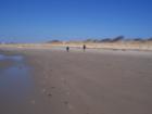 Delaware Bay Beach