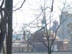 Asheville thru the trees