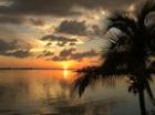 Cape Coral Florida Sunset 