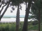 View of May River