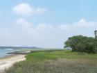 Skull Creek