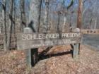 Schlessinger Preserve is a path going through the woods where one can take a nature hike.
