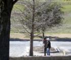 Frisco Bridges Park is a Quiet Retreat in Frisco Texas