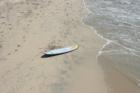 Surfs Up! Are you ready to come surfing with me?