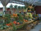 Fall Farmers Market