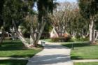 One of Many Greenbelts at SeaCliff on the Greens in Huntington Beach