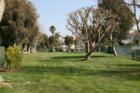 Another Greenbelt at SeaCliff on the Greens in Huntington Beach