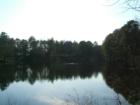 Lake Arnold is a 7 acre lake within the North Shore section of Carolina Trace in Sanford, NC.