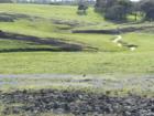 Ar117358423763658_l