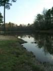 Pond to the right of Hole 15 on the Creek Course at Carolina Trace in Sanford, NC. 