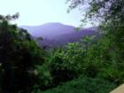 WEAVERVILLE (Greater Asheville, N.C.) Beautiful views of mountains and valleys.
