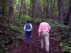 WEAVERVILLE. (Greater Asheville, N.C.) A Walk in the Woods. 82 prime acres and a suuny day.