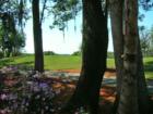 Golf Course