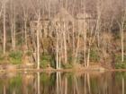Conference Center on Lake Susan, Montreat