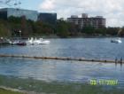You can rent a swan paddle boat for you and the kids...OR ask that all important question to your sweetheart here on Lake Eola!