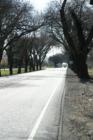 Durham:  The picturesque "Midway" leading from Chico to Durham.