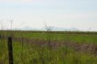 Richvale:  this small town is surrounded by open rice fields, with the Sutter Buttes in the distance.