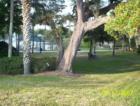 Lake Lilly Park in Maitland is a great place to get away for a picnic with the family....