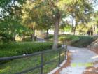 Just like Lake Eola in downtown Orlando, Lake Lillys sidewalk wraps around the entire body of water. It is perfect of a peaceful time of contemplation....