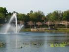 Lake Lilly is a wonderful park to bring the kids and family......