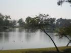 8 Acre Lake at Tri-Cities Park in Placentia, CA.
      Stocked by Dept. of Fish & Game. Park built by CCC. Serves, Brea, Fullerton & Placentia, CA.